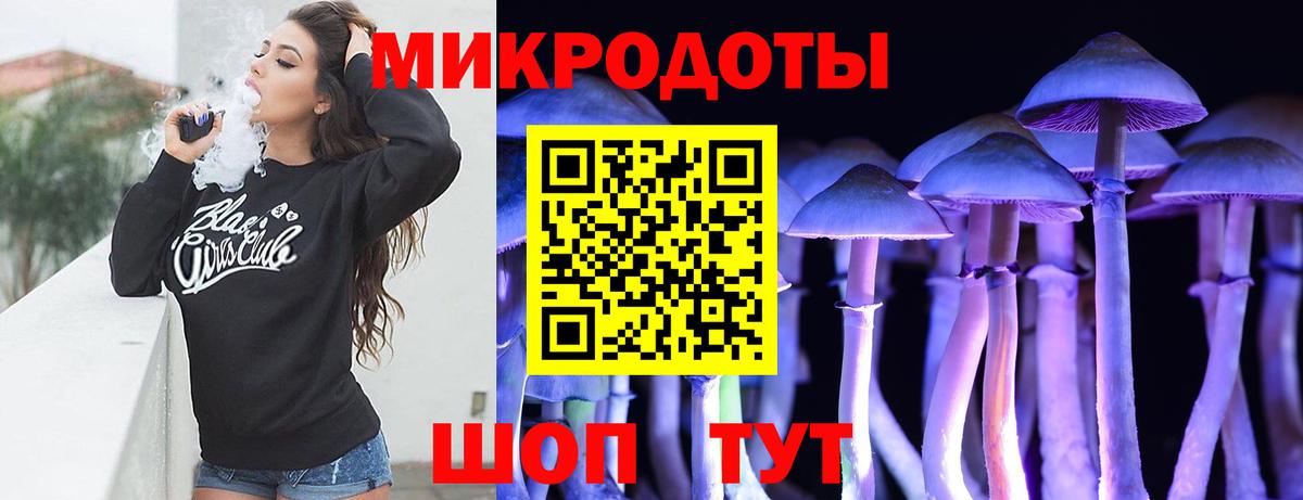 Псилоцибиновые грибы Cubensis Нижний Новгород